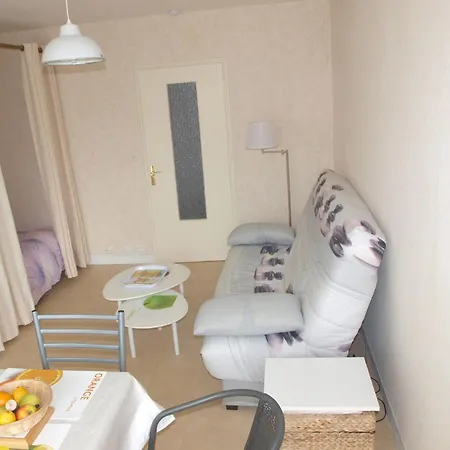 Studio, Proche Et Commerces, Balcon Ferme, Quartier Calme, Parking Prive - Fr-1-323-422 Apartamento